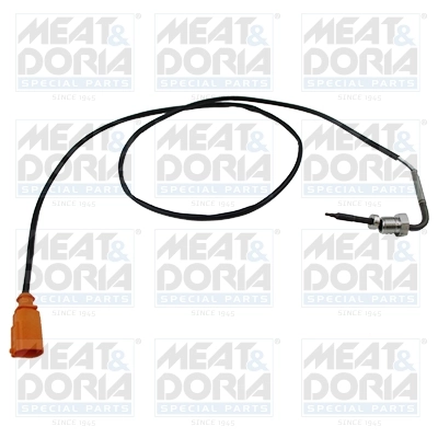 Sensor, exhaust gas temperature